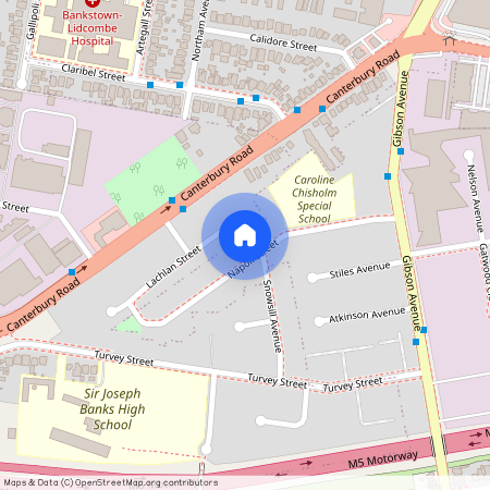 32 Napoli Street, NSW 2211, Padstow