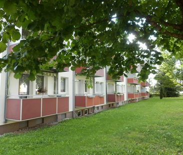 Schöner WOHNEN im grünen FLEMMING - Foto 4