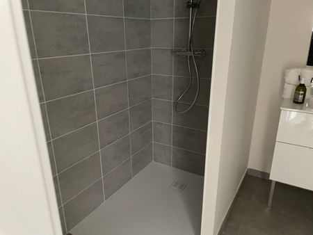 Location Appartement 3 pièces 61m² ROQUES 31120 - Photo 5