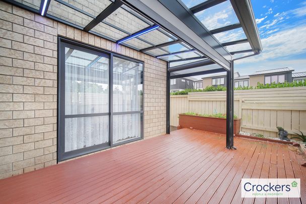 Just in time for Christmas - Photo 1