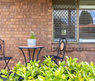 16 Engesta Avenue, Camden NSW 2570 - House For Rent | Domain - Photo 6