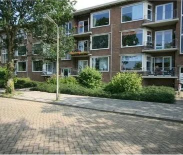 Appartement Iepenstraat, Leeuwarden - À louer - Foto 1