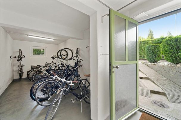 Zentral & renoviert: 4.5-Zimmer-Wohnung in Top-Zustand - Foto 1