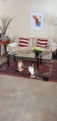 Glen Huntly - Photo 1