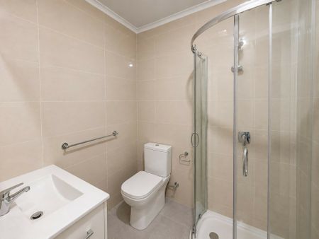 Freshly Painted and Renovated 4-Bedroom Home with Two Large Living Areas & Large Rear Shed - Photo 5