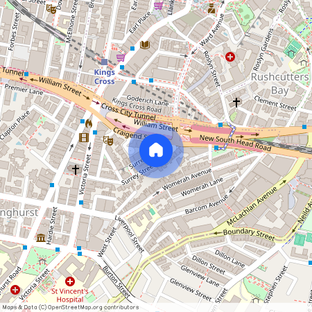 41 Surrey Street, Darlinghurst NSW 2010