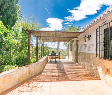 Country Property in Cómpeta, Inland Andalucia at the foot of the mo... - Photo 5