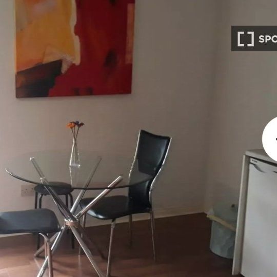 Studio for rent in South-West Inner City, Dublin - Photo 1