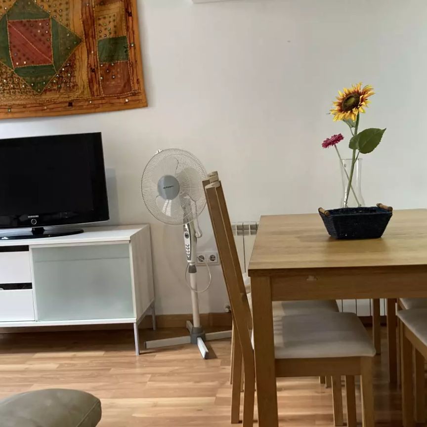 Whole 2 bedrooms apartment in Madrid - Photo 1