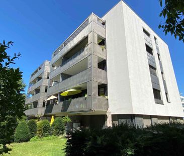 Logement 4 pièces avec balcon Grand-Lancy -Terme fixe de 1 an- - Foto 4