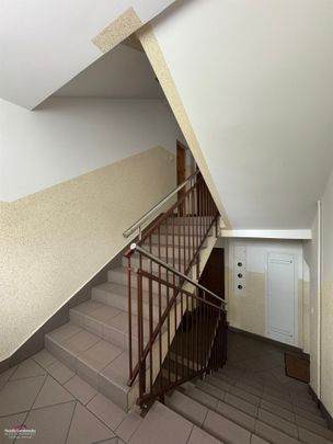 Grudziądz Mieszkanie na wynajem - Фото 1