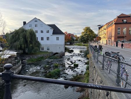 Frödingsgatan, Uppsala - Photo 2