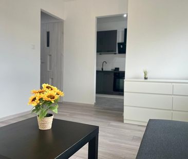 Sosnowiec Zagórze, ul. Bohaterów Monte Cassino - Zdjęcie 3