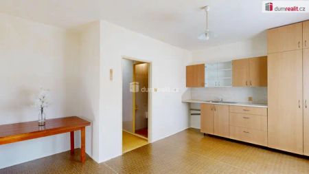 Pronájem, byt, 1+kk, 26 m - Fotografie 3