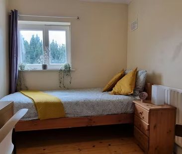 Shanard Road, Dublin - Photo 6