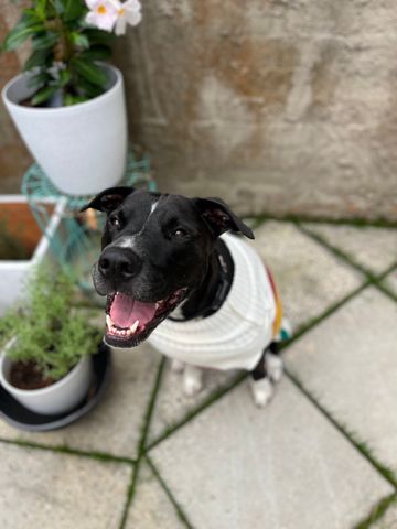 Bondi Junction - Photo 3