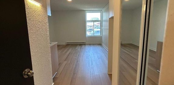 Studio - Saint-Charles-Borromée - $1,049 /mo - Photo 2