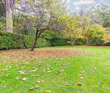 Lovelace Road - Photo 1