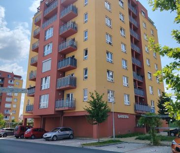 Pronájem bytu 1+kk 45 m² - Fotografie 3