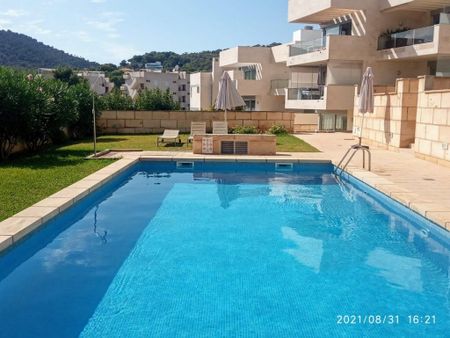 2 room luxury Apartment for rent in Andratx, Spain - Photo 4