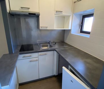 Location Appartement 1 pièce 28m² RODEZ 12000 - Photo 3