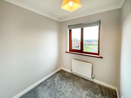 118 Glenwood Court, Lisburn, BT28 3WD - Photo 3