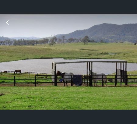 398 Anambah Rd, Anambah, NSW 2320 - Photo 2