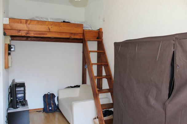 Location Appartement 1 pièce 17m² GRENOBLE 38000 - Photo 1