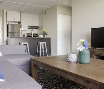 Le Plateau Mont-Royal - Photo 3