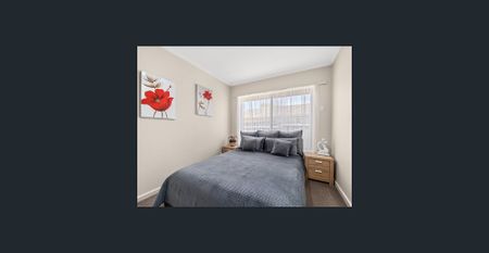 NEAT AS A PIN - Photo 3