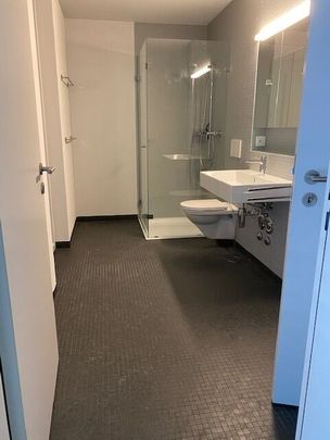 Naturnahes Wohnen direkt an der Limmat - Foto 1