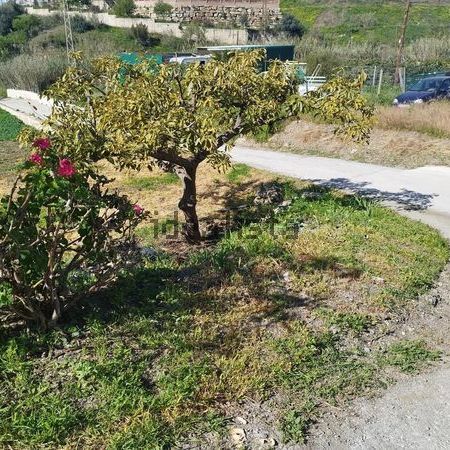 Alquiler de casa o chalet independiente en Cotomar - Urbanizaciones - Photo 1