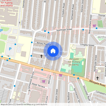 Wellesley Terrace, Arthurs Hill, Newcastle Upon Tyne, NE4 5NL