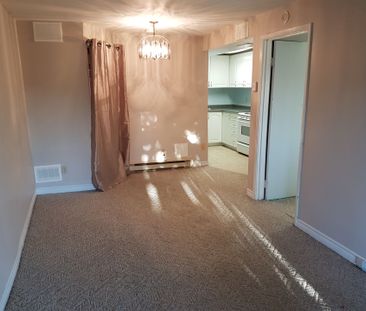 For Lease - 22 Palmer Drive Unit# Bsmt, Ajax, Ontario - Photo 2