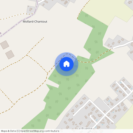 38290, Satolas-Et-Bonce