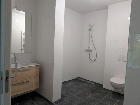 Victoriastein 48, De Steinen, 6714BX, Ede - Foto 4