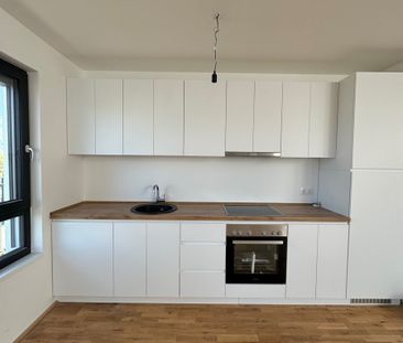 High-quality top-floor apartment with spacious terrace - Foto 3