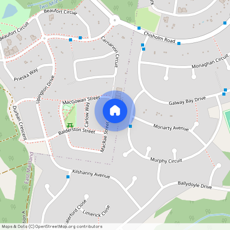 44A Macrae St, NSW 2323, East Maitland