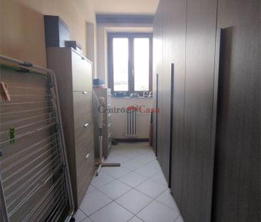 Grazioso tricolare in contesto di corte. - Photo 6