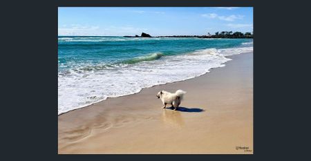 Spacious Four/Five Bedroom Home with Pool in Prime Palm Beach Location - Photo 4