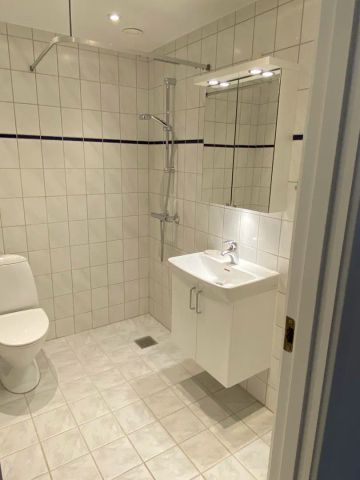 Lys og rummelig lejlighed i hjertet af Aalborg - Photo 3