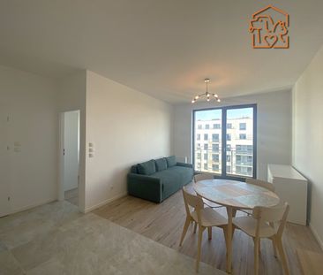 Gdańsk Jasień, Lawendowe Wzgórze - Zdjęcie 6