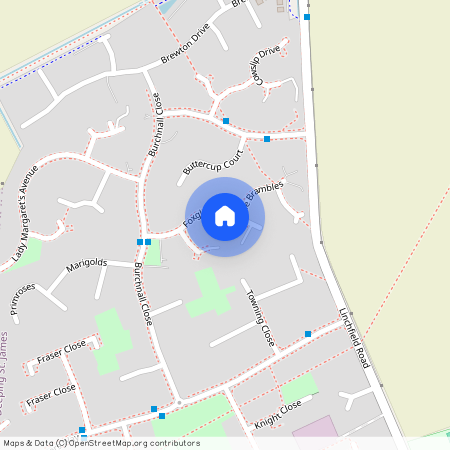 Foxgloves, Deeping St. James, PE6