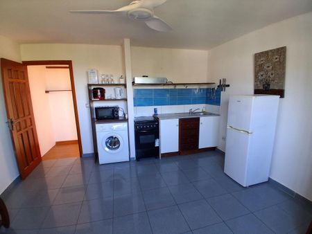Location Appartement 1 pièce Meublé 25m² ST PIERRE 97410 - Photo 2