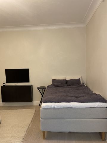 Mysig etta i centrala Norrmalm med trädgård och grillplats! - Photo 4