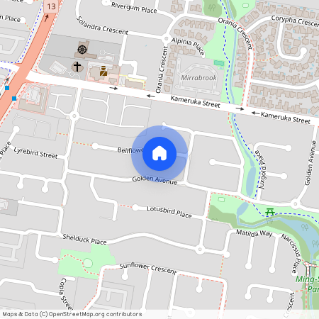 10 Bellflower Street, Qld 4116, Calamvale