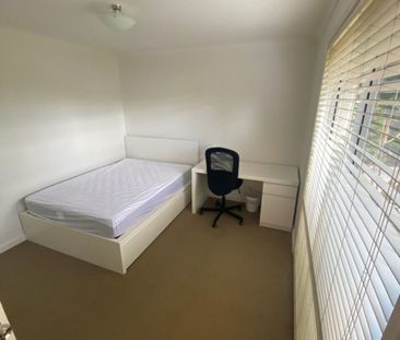 Rooms / 47 Rundle Avenue, WALLSEND NSW 2287 - Photo 3