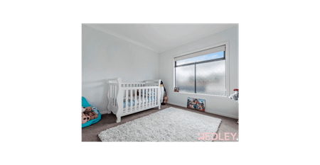 M A L L A R D - Photo 4