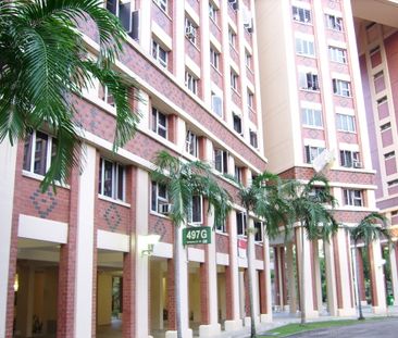 Blk 497G Tampines Street 45 (Tampines), HDB 4 Rooms - For Rent - Photo 2
