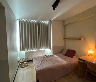 Zwijnaarde kamer 10 - Zwijn­aardse­steen­weg 320 - Foto 4